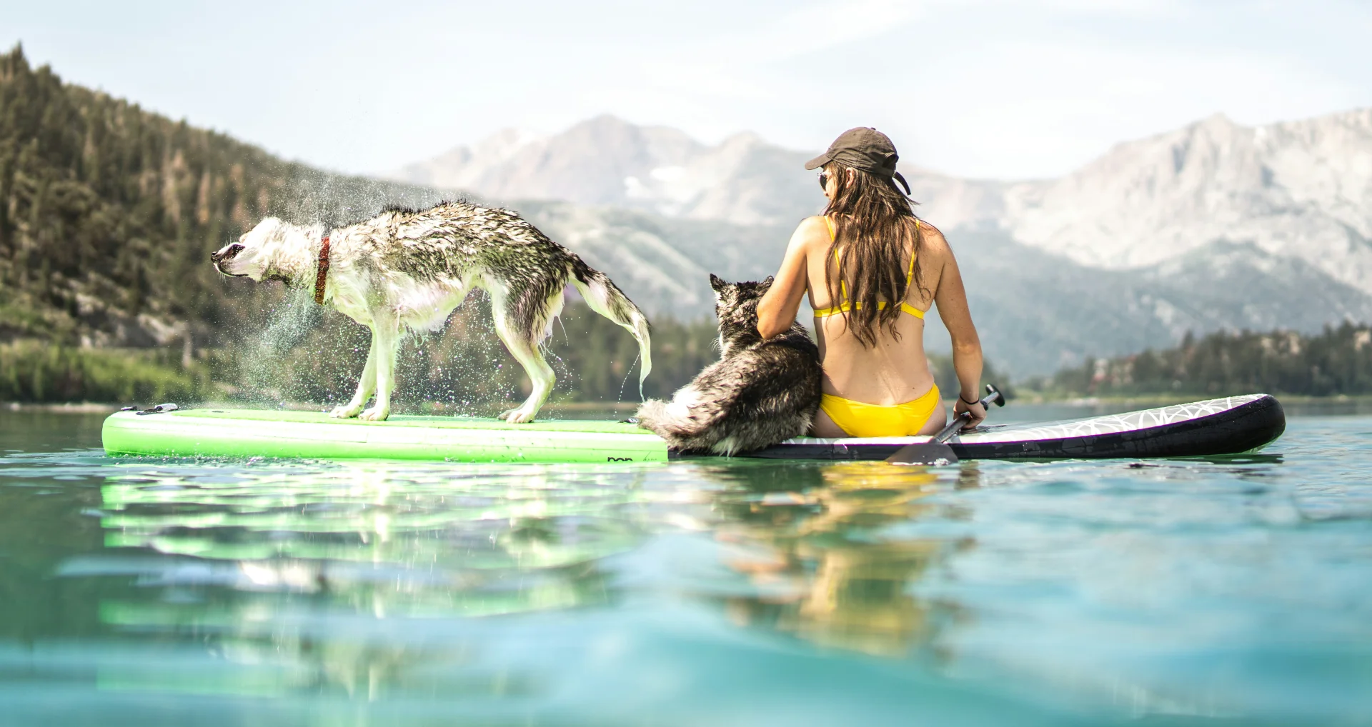 Woman wearing yellow swimwear with two dogs on a paddleboard at a scenic lake surrounded by mountains. One dog shaking off water.